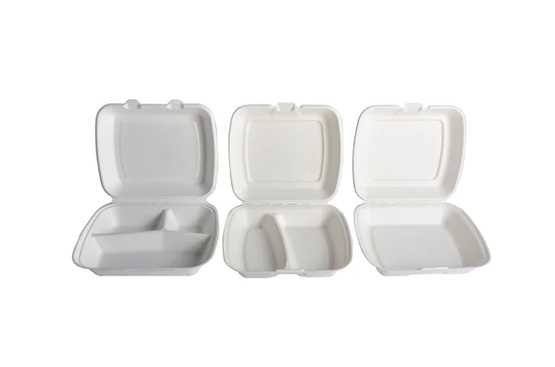 Eco 8*8 INCH Compostable Sugarcane Bagasse Pulp Lunch Box Biodegradable Fast Food Clamshell - Image 6