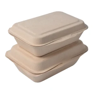 New Product Sugarcane Food Tray Lid Box Bagasse Take Away Single Compartment Compostable Clamshell Container