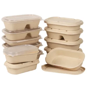 Disposable 850ml 1000ml 1300ml Matt Lamination Paper Pulp Bagasse Sugarcane Biodegradable Food Packaging