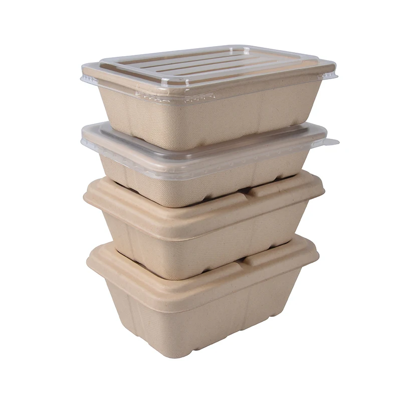 700ml 850ml 1000ml Disposable Bagasse Sugarcane Food Biodegradable Box Packaging - Image 3