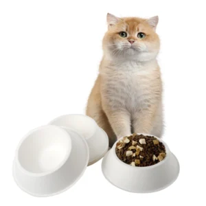 Disposable Biodegradable Pet Bowls Compostable Cat Dog Food Water Feed Bagasse for Camping