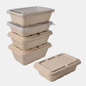 Pulp Box Biodegradable Packing Food Boxes Bagasse Salad Box Compostable Microwave Safe Sugarcane Take Out Food Containers